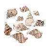 Electroplate Natural Spiral Shell Pendants SSHEL-Q100-40G-1