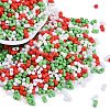 Glass Seed Beads SEED-K010-03E-1