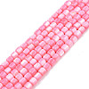 Natural Freshwater Shell Beads Strands X-SHEL-N003-33-A09-1