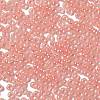 Glass Seed Beads X1-SEED-H002-E-A1405-3
