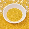 MIYUKI Delica Beads SEED-MY11-DB1562-2