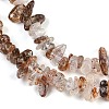 Natural Black Gold Rutilated Quartz Beads Strands G-G905-20-3