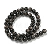 Natural Silver Obsidian Beads Strands X-G-S150-20A-8mm-3