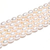 Natural Cultured Freshwater Pearl Beads Strands PEAR-N012-05Z-01-5