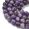 Natural Charoite Beads Strands G-C270-O02-04-4