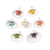 Summer Beach Natural Shell Pendants PALLOY-JF02649-1