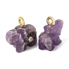 Natural Banded Amethyst Carved Pendants G-H357-01G-13-2