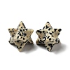 Natural Dalmatian Jasper Beads G-A206-01B-26-2