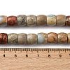 Natural Aqua Terra Jasper Beads Strands G-L624-D03-8x6mm-5