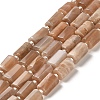 Natural Sunstone Beads Strands G-N327-06-12-1