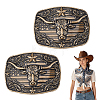 2Pcs Zinc Alloy Smooth Buckles FIND-NB0007-31A-02-1