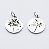 Eco-Friendly 316 Surgical Stainless Steel Micro Pave Cubic Zirconia Charms X-RB-I078-75P-NR-2