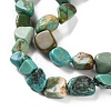 Natural Hubei Turquoise Beads Strands X-G-P497-01C-51-4