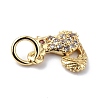 Brass Micro Pave Cubic Zirconia Charms ZIRC-F131-11G-3