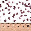 Imitation Jade Glass Seed Beads SEED-T006-01B-4