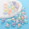 Tansparent Acrylic Beads PW-WGFE21F-01-3