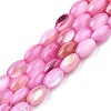 Freshwater Shell Beads Strands SHEL-T009-B15-03-1
