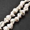 Electroplated Shell Pearl Beads Strands BSHE-C009-01C-2