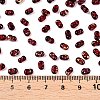 Picasso Spray Painted Glass Seed Beads SEED-T006-04-28-4