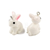 Resin Pendants X-RESI-S356-53-2