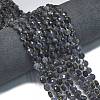 Natural Iolite Beads Strands G-K389-B29-01-2