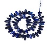 Natural Lapis Lazuli Beads Strands G-Z091-A23-2