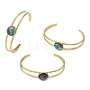 304 Stainless Steel & Natural Paua Shell Cuff Bangles for Women BJEW-JB14122-02-2