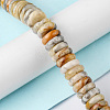 Natural Crazy Lace Agate Beads Strands G-F743-06J-2