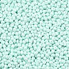 6/0 Glass Seed Beads SEED-L011-08A-14-3