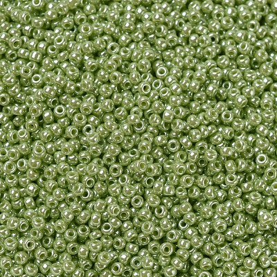 MIYUKI Round Rocailles Beads SEED-G007-RR0439-1
