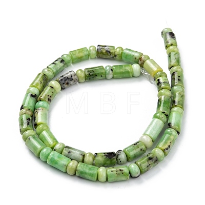 Natural Serpentine Beads Strands G-C074-01-1