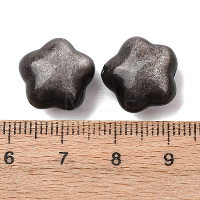 Natural Silver Sheen Obsidian Beads G-A310-04A-1