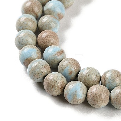 Natural Rainbow Alashan Agate Beads Strands G-NH0022-A07-02-1