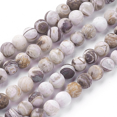 Natural America Petrified Wood Beads Strands G-P430-03-B-1