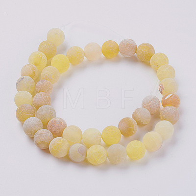 Natural Weathered Agate Beads Strands G-G589-10mm-02-1