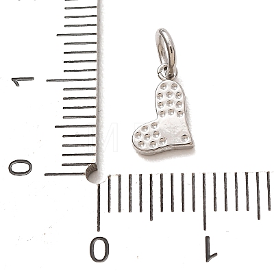 304 Stainless Steel Micro Pave Clear Cubic Zirconia Charms CU-CBAB6EC-22P-1