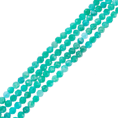  2 Strands Natural Russia Amazonite Beads Strands G-NB0004-11-1