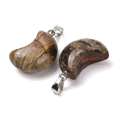 Natural Crazy Agate Pendants G-F820-02L-10-1