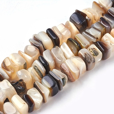 Freshwater Shell Beads Strands X-BSHE-O017-09-1