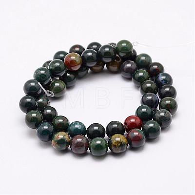 Natural Indian Bloodstone Beads Strands G-P257-07-8mm-1