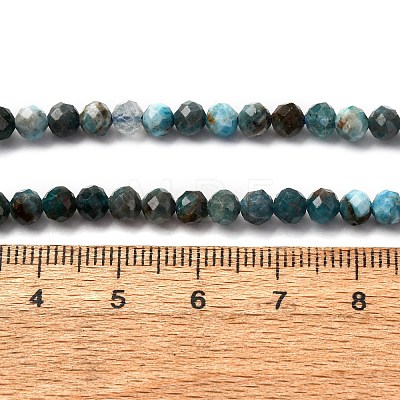 Natural Apatite Beads Strands G-A276-C08-4mm-01-1