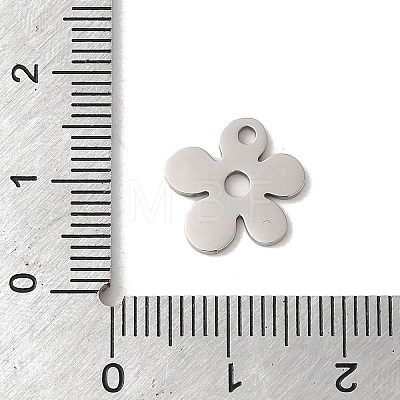 201 Stainless Steel Charms STAS-E211-13P-1