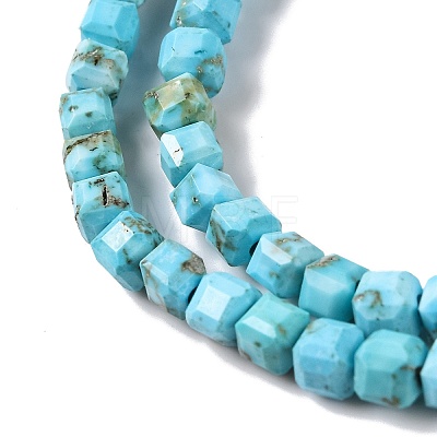 Natural Howlite Beads Strands G-H025-04B-1
