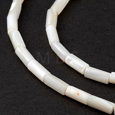 Natural Freshwater Shell Dyed Beads Strands SHEL-M018-11-12-1