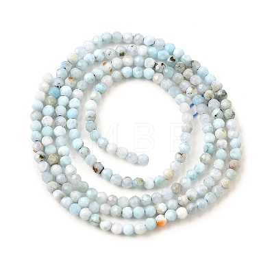 Natural Larimar Beads Strands G-G259-D13-2mm-1