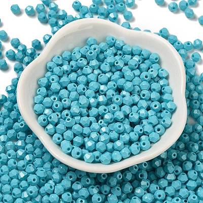 Baking Painted Glass Seed Beads SEED-C004-01H-1