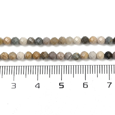 Natural Alashan Agate Beads Strands G-C181-B05-02-1