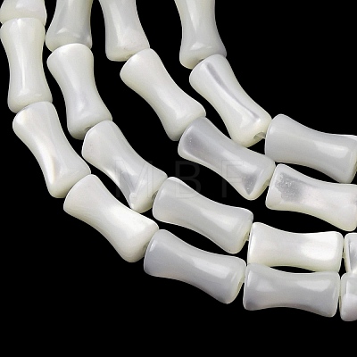 Natural Trochid Shell/Trochus Shell Beads Strands SH-CBA2978-12-1