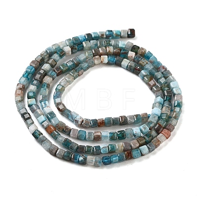 Natural Blue Apatite Beads Strands X-G-P457-B01-14B-1