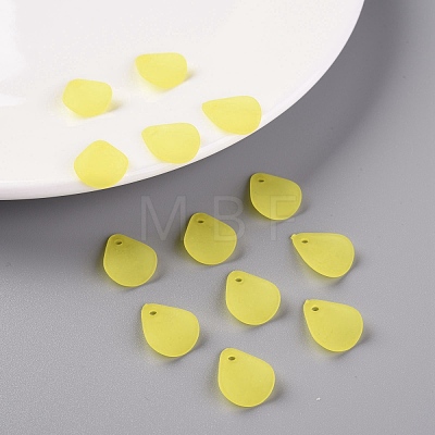 Transparent Frosted Acrylic Pendants MACR-S371-09A-717-1